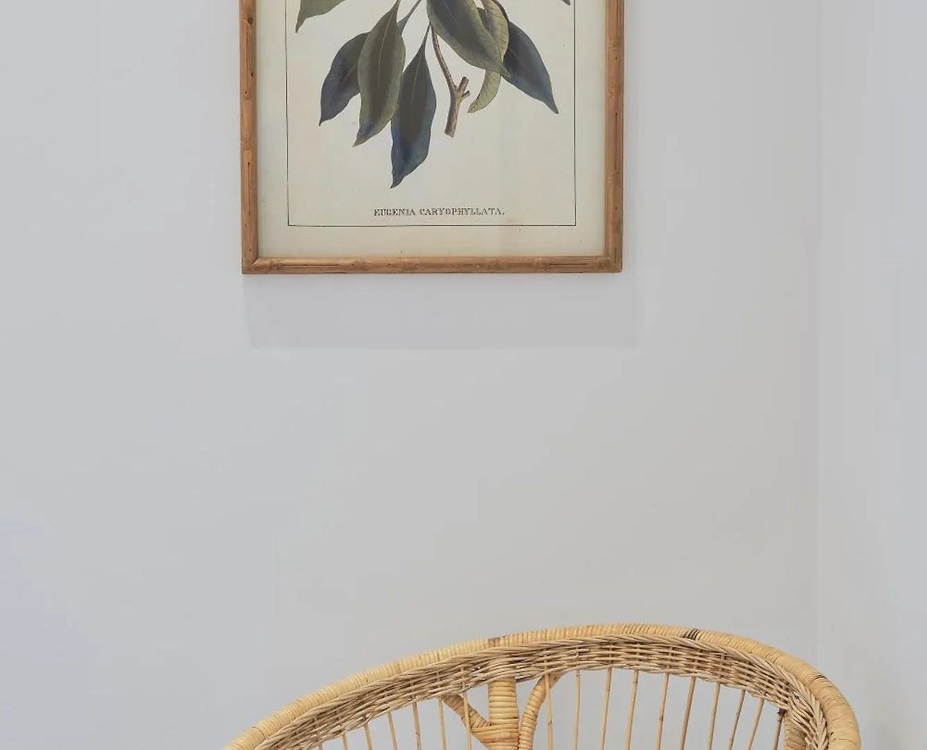 Iloftmalaga Domingo Lozano Apartment Spain